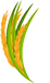 Basmati Rice Exporter in USA